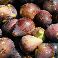 Fig Featured Ingredient - L'Occitane