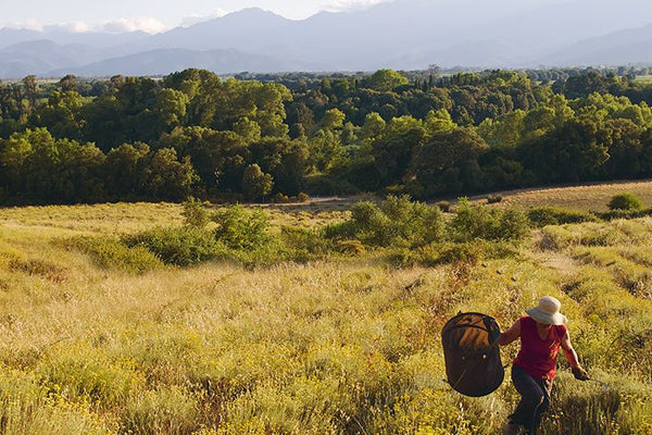 Ingrédients naturels